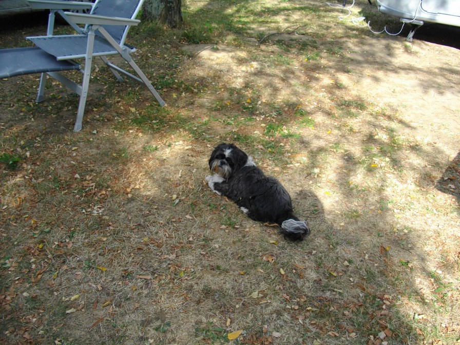 rassemblement montpezat sept 2015 003 (Copier).JPG