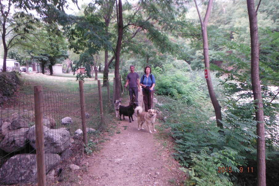 DSCF1030 (Copier).JPG