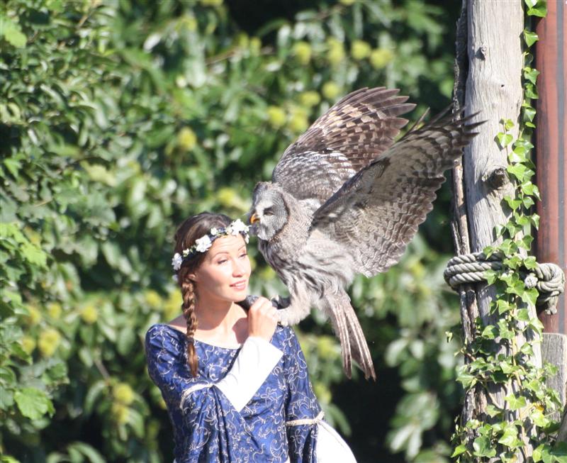 le Puy du Fou-1.jpg