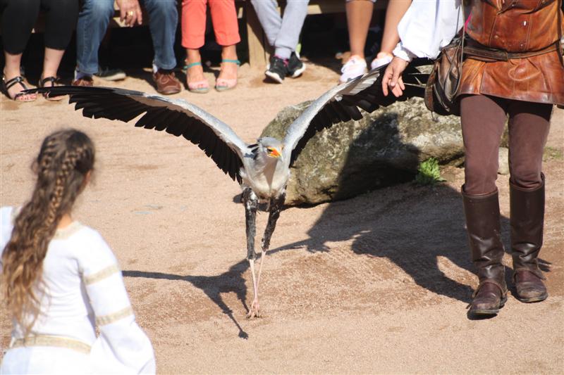 le Puy du Fou-2.JPG