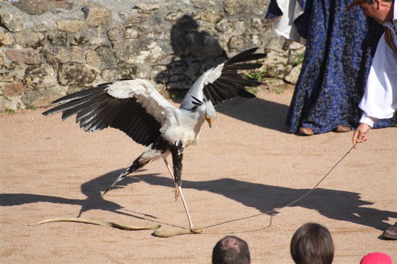 le Puy du Fou-3.JPG