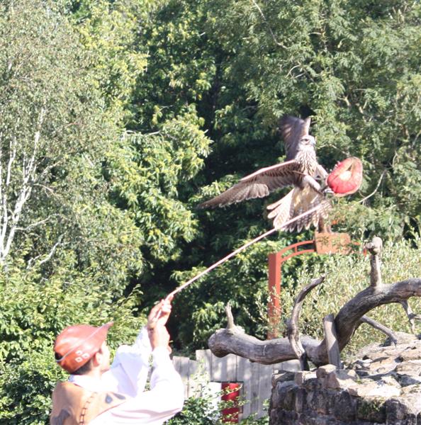 le Puy du Fou-5.jpg