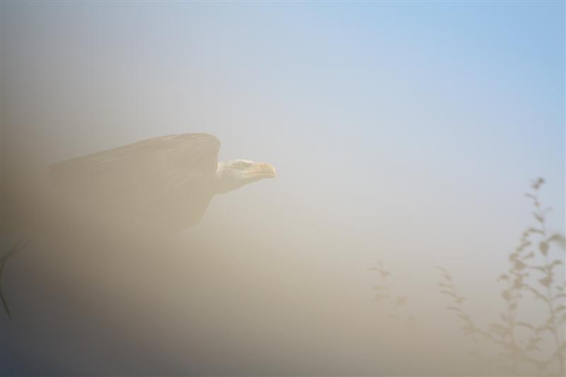 le Puy du Fou-8.JPG
