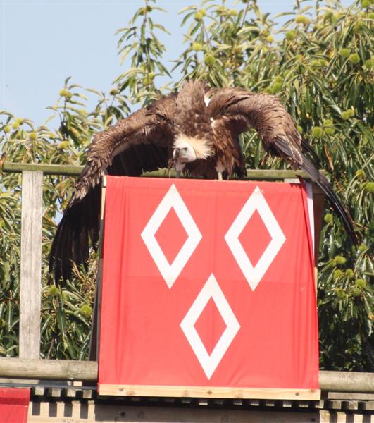 le Puy du Fou-13.jpg