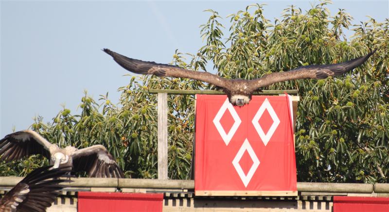 le Puy du Fou-14.jpg