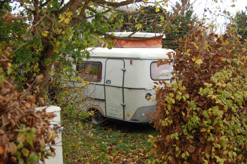 DSC_7793 (Medium).JPG