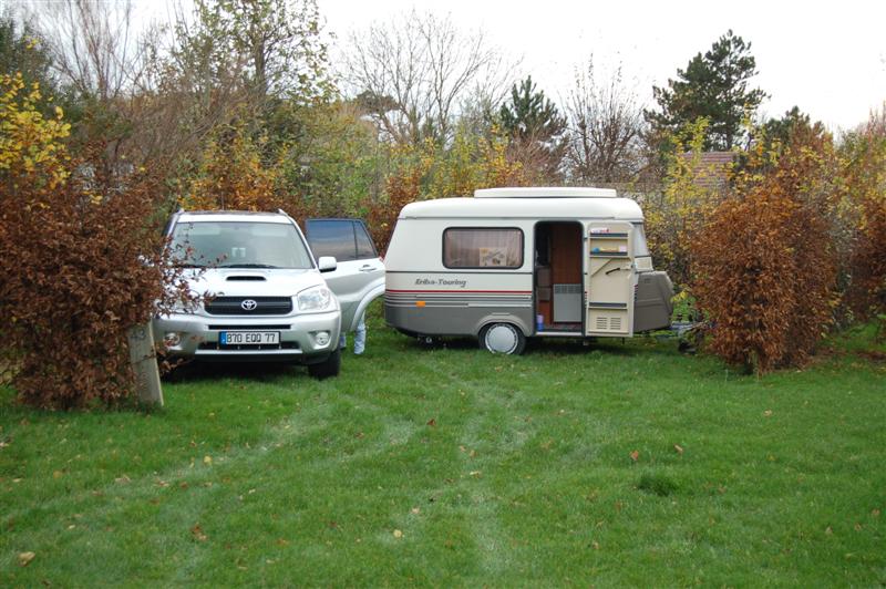 DSC_7795 (Medium).JPG