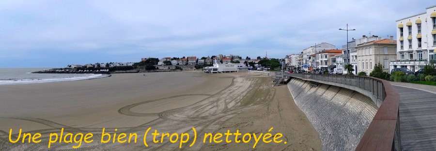 04 Royan, plage de la Conche de Pontaillac .JPG