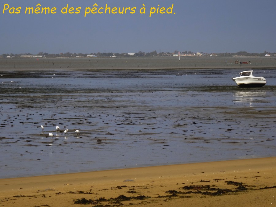11 La Palmyre, baie de Bonne Anse .JPG