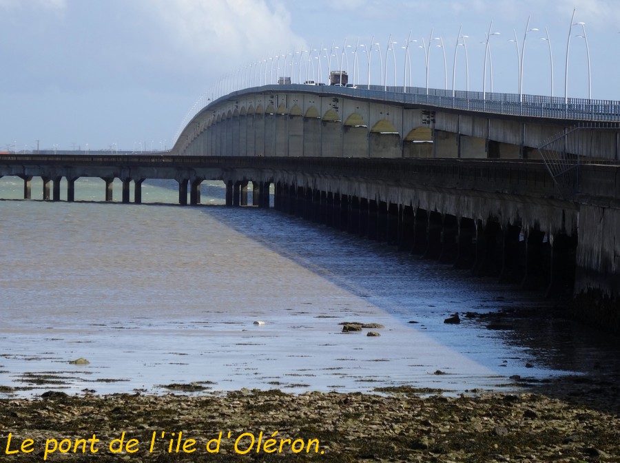 12 Ile d' Oléron .JPG