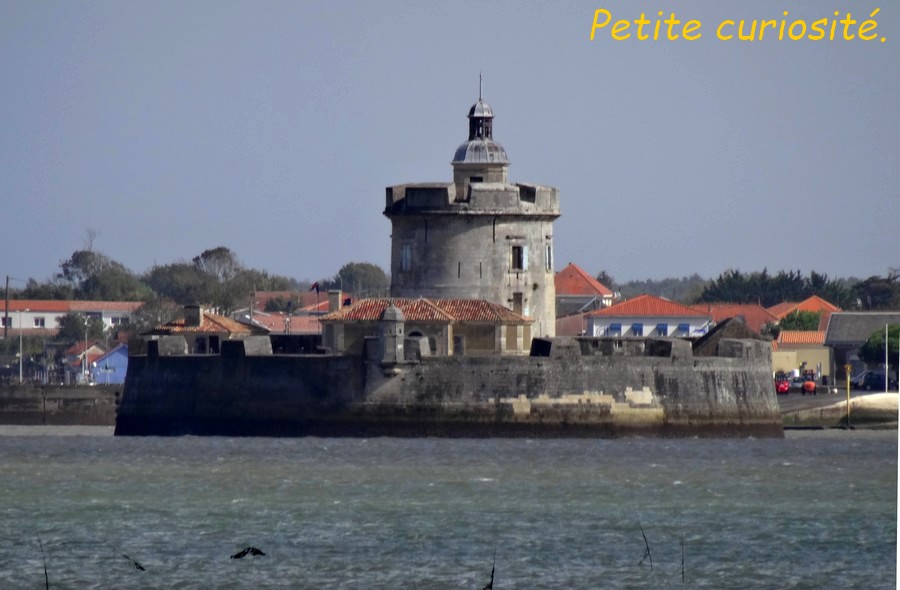 13 Ile d'Oléron, face au fort Louvois .JPG