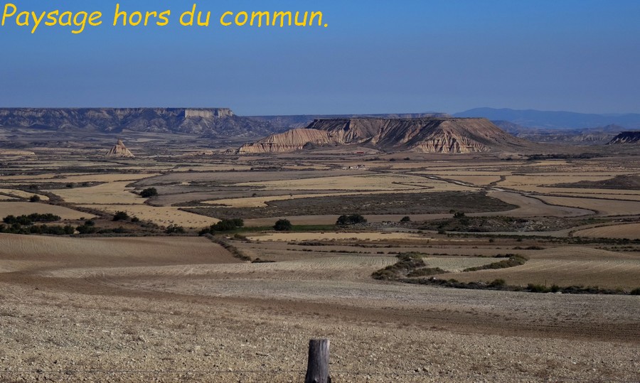 02 Bardenas Réales. La Blanca Baja  .JPG