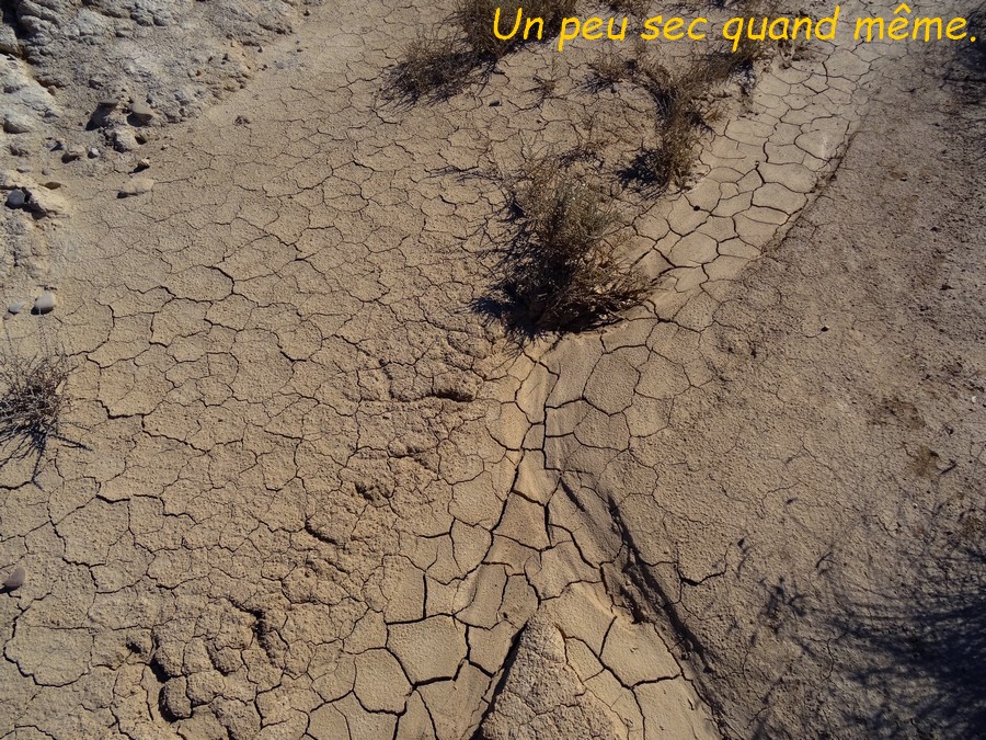 05 Bardenas Réales .JPG
