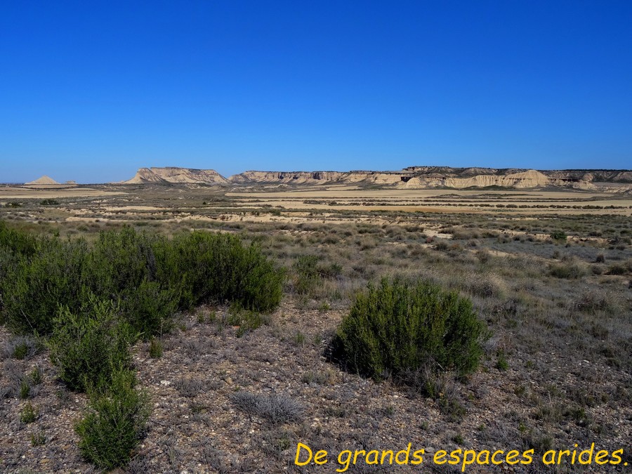 09 Bardenas Réales .JPG