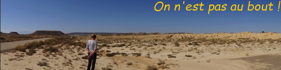 14 Bardenas Réales .JPG