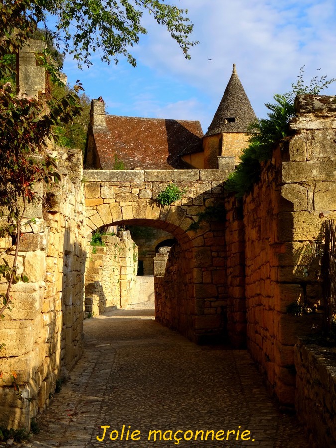 04 La Roque Gageac .JPG