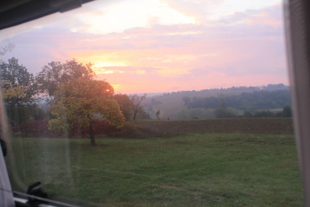 DPP_0040.JPG
