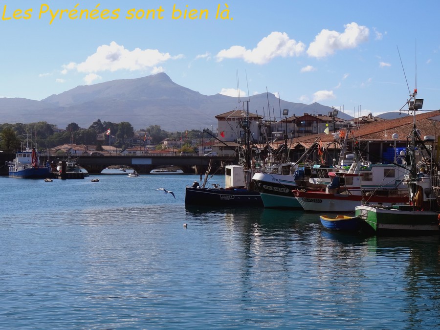 18 St Jean de Luz, Le pont Charles de Gaulle .JPG