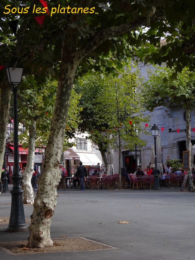 23 St Jean de Luz. Place Louis XIV .JPG