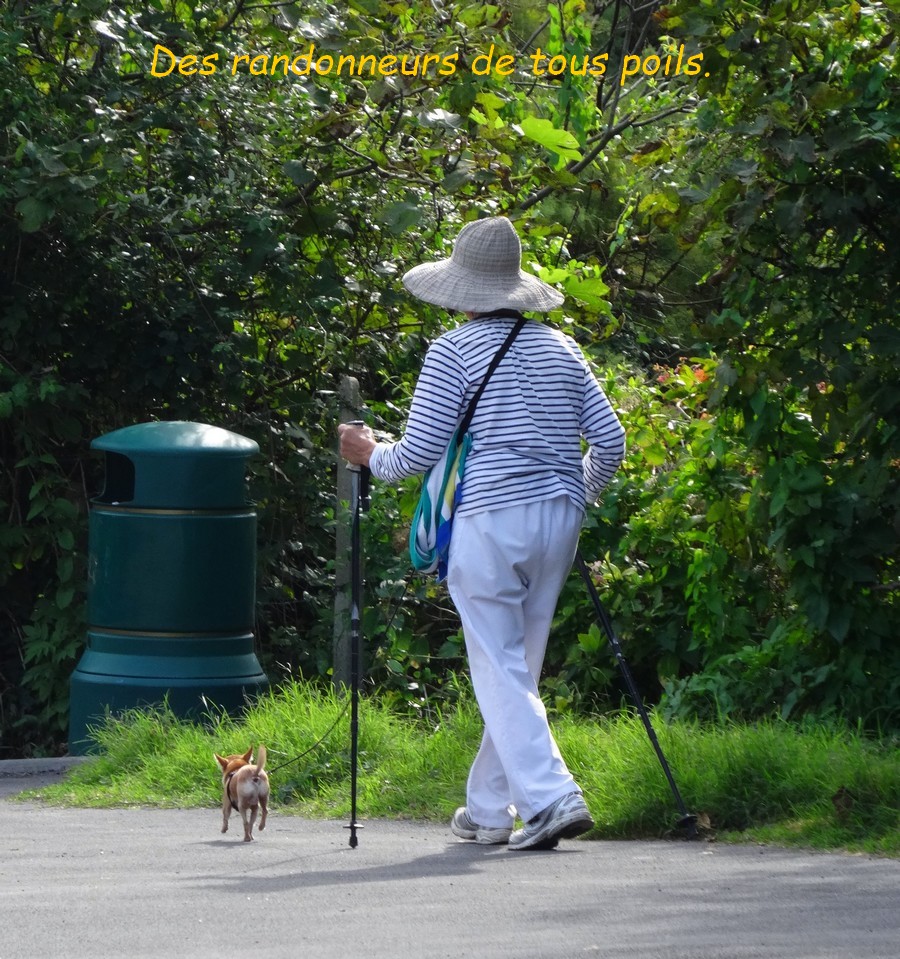 24 St Jean de Luz. Randonneurs de tous poils .JPG