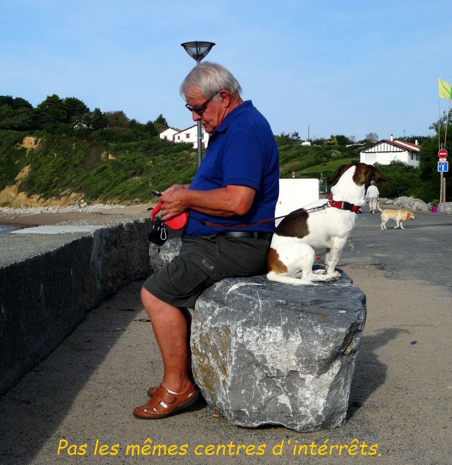 25 St Jean de Juz. Divergence de points de vues  .JPG