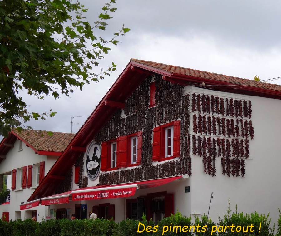 13 Espelette. Les piments .JPG