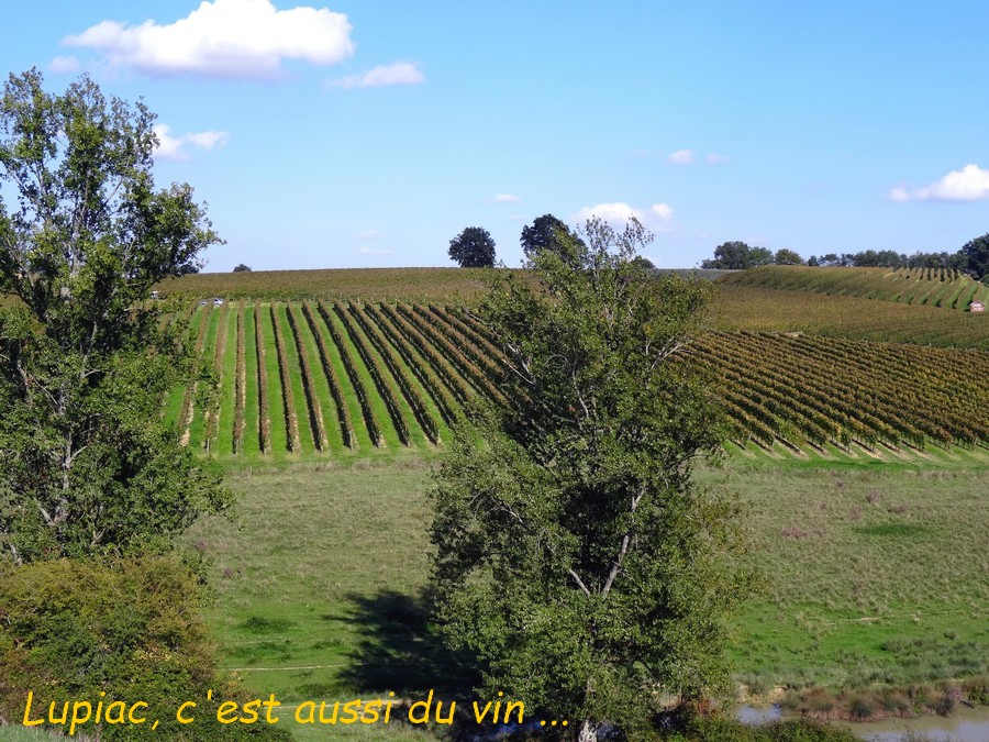 19 Lupiac .JPG