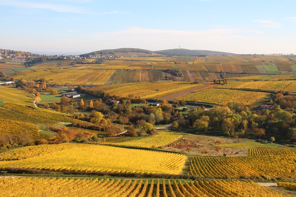 sancerre 102015 011 (Copier).JPG