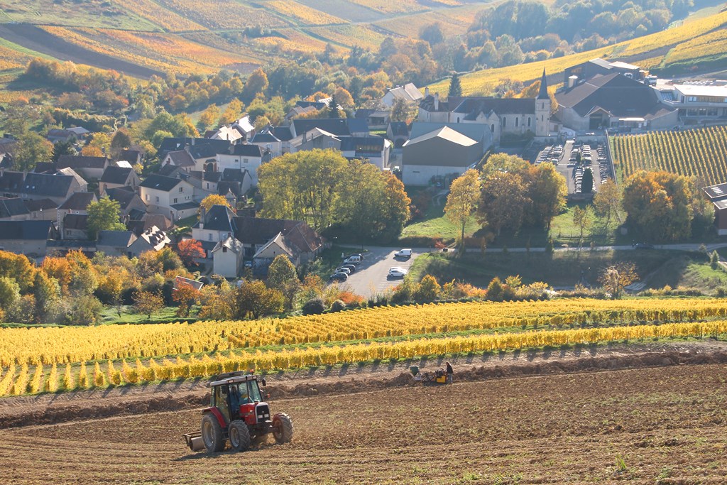 sancerre 102015 021 (Copier).JPG