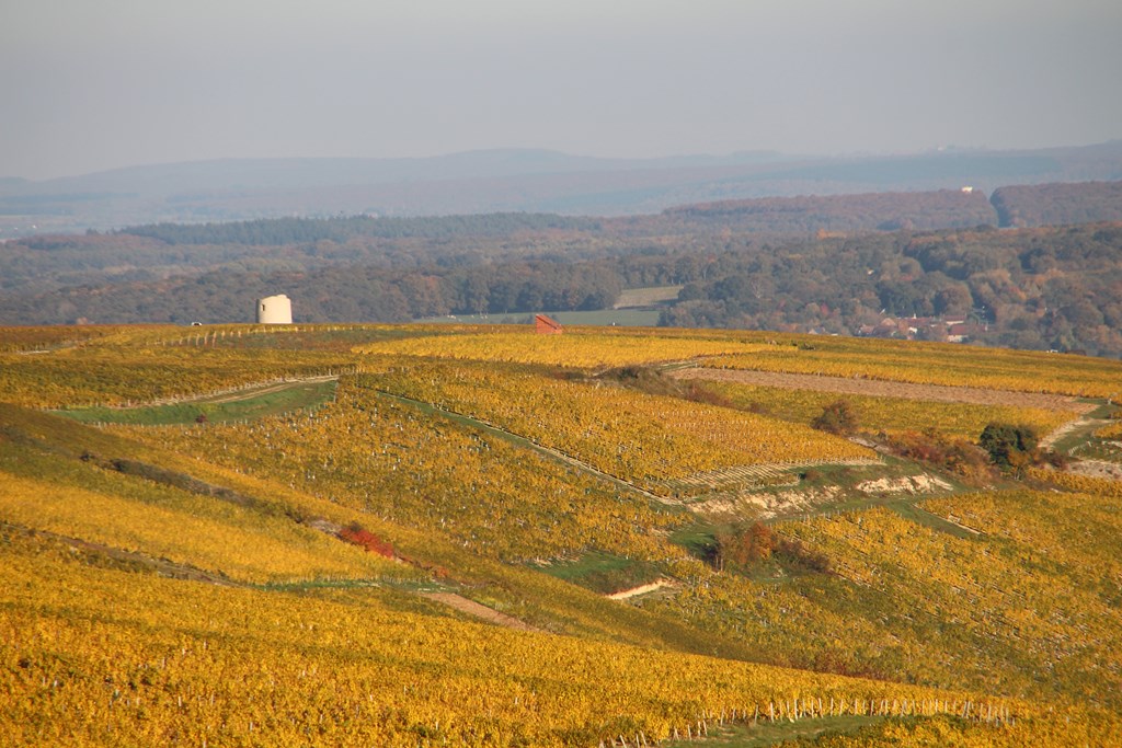 sancerre 102015 036 (Copier).JPG