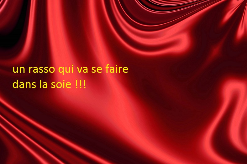 soie.jpg