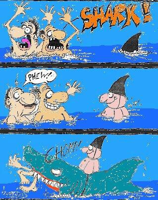 piege_de_requin.jpg