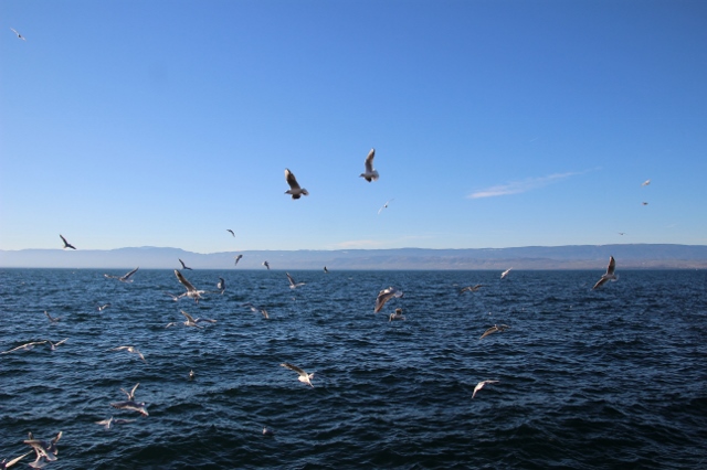 860 (640x426).jpg