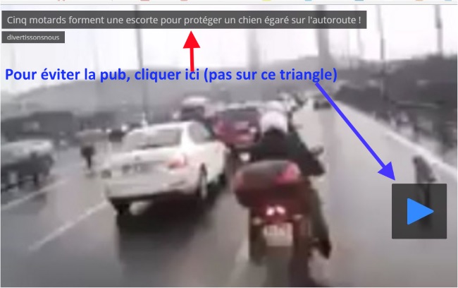 Vidéo Dmotion.JPG