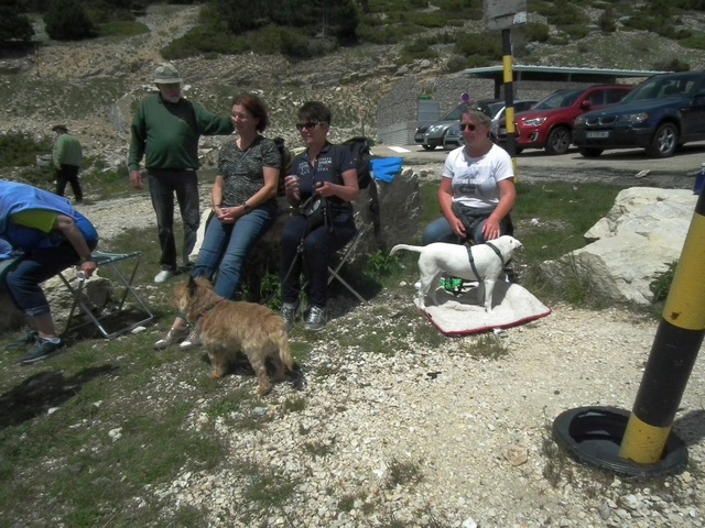 DSCF0503.JPG