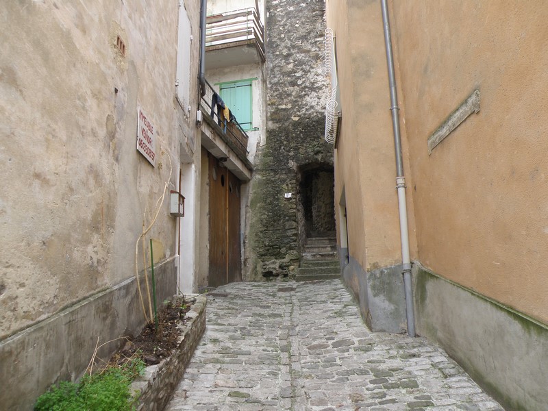 P3310658 (Copier).JPG