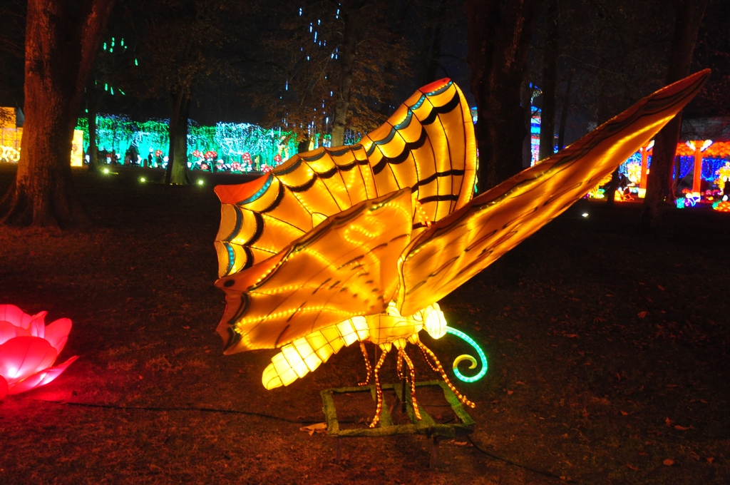 Lanternes chinoises06.JPG