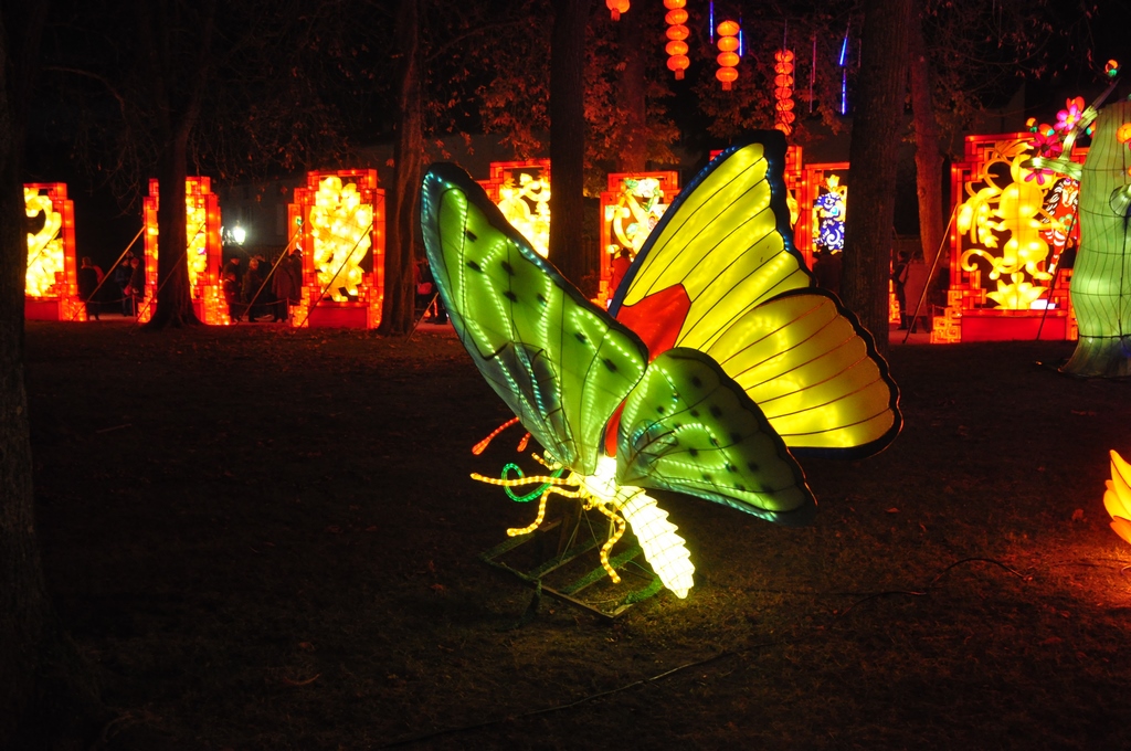 Lanternes chinoises07.JPG