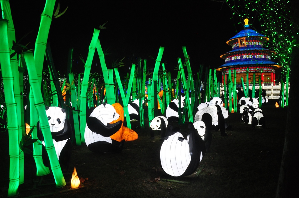 La forêt de Pandas
