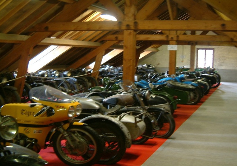 Collection 11.jpg