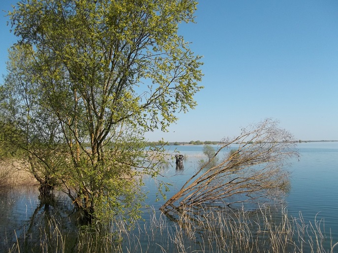 Lac du der
