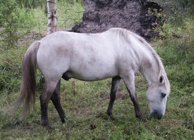 PICT0013.JPG