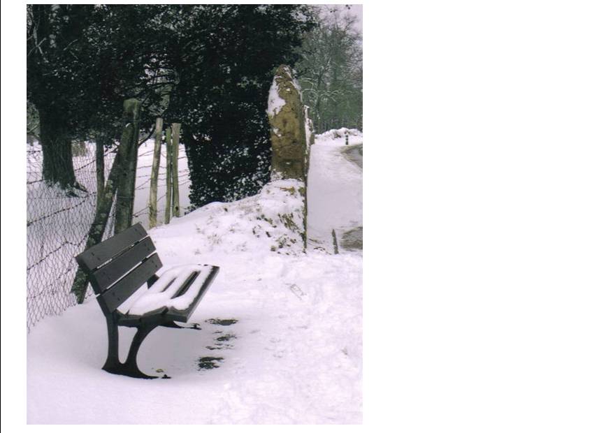 Neige 1.jpg