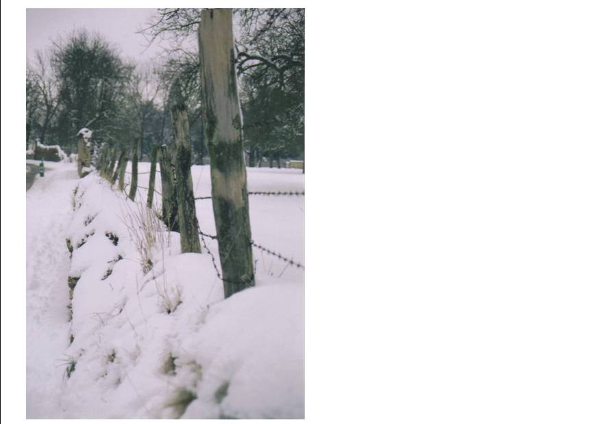Neige 3.jpg