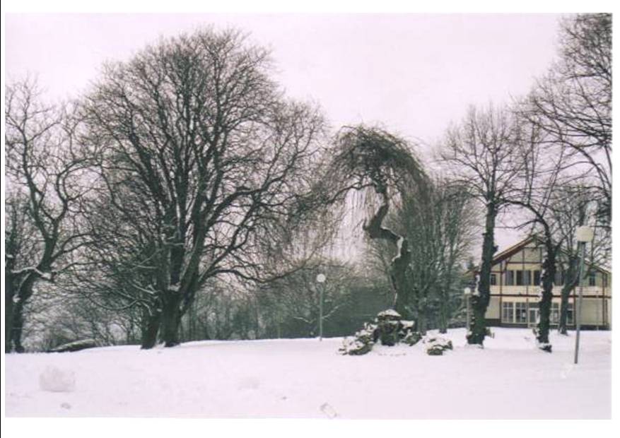 Neige 5.jpg