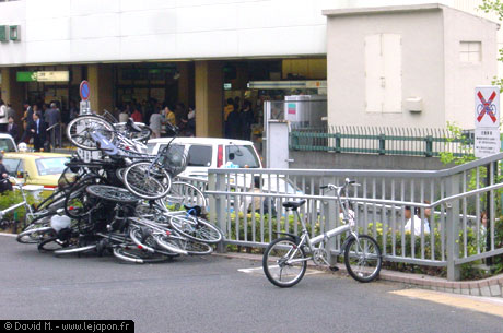 DSC02734.jpg