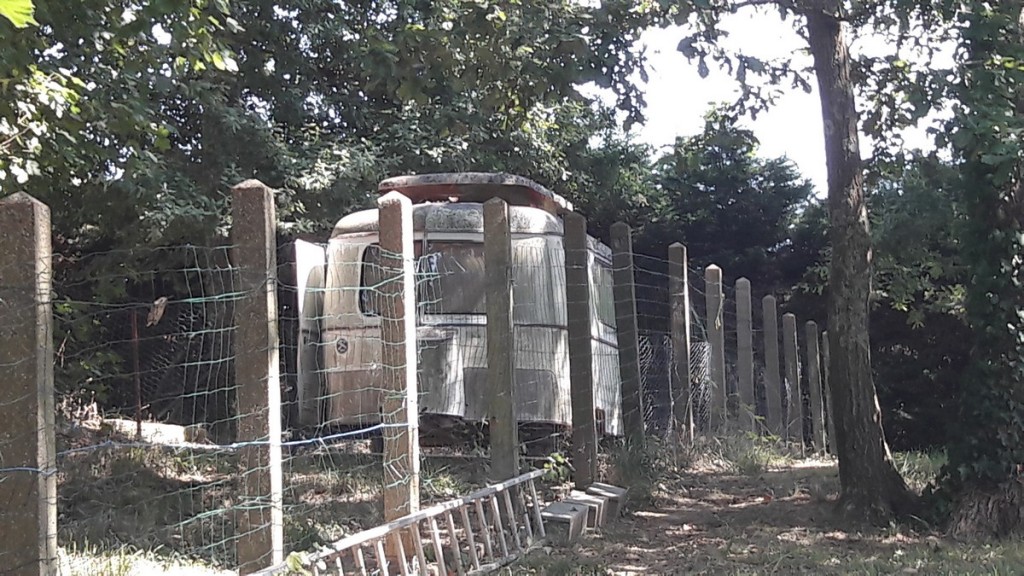20180820_150229.jpg