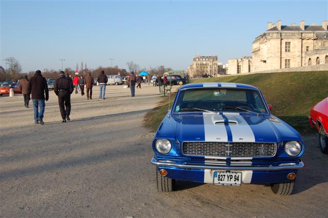 DSC_8774 (Small).JPG