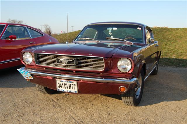 DSC_8776 (Small).JPG