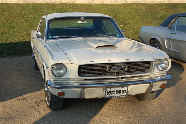 DSC_8779 (Small).JPG